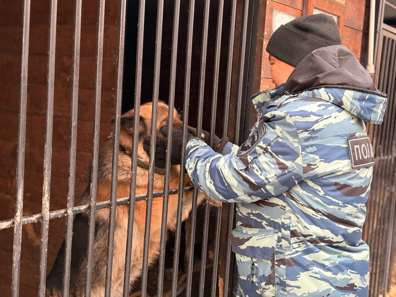 Член Общественного совета при МВД по Республике Тыва Артыш Монгуш организовал для учеников школы-интерната экскурсию в Центр кинологической службы МВД по Республике Тыва Член Общественного совета при МВД по Республике Тыва Артыш Монгуш организовал для учеников школы-интерната экскурсию в Центр кинологической службы МВД по Республике Тыва