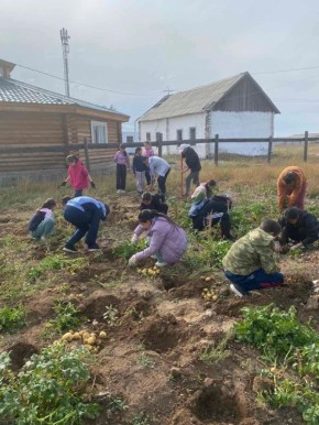 В Тес-Хемском районе сделали ставку на огородничество в Год созидательного труда