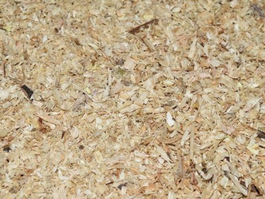 ��� ������������� ������ � ����������� ��������� ��� ������ ����