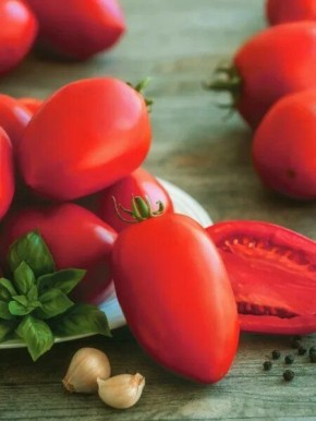 ����� �������: ������� ����� ��� ������� ������