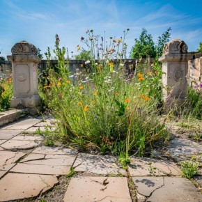 ���������� ������������� ������ �������: ������� ����� �� ����������