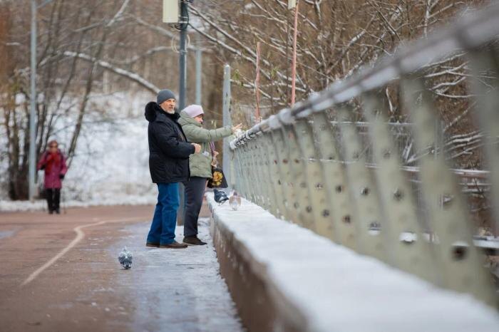 Пенсии в 2026 году: что стоит знать о графике выплат россиян