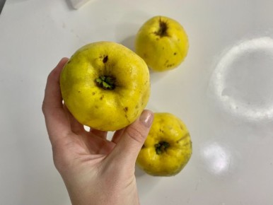 ��� ����������� ���� �� ���������: ������, ������� ������� ���� ���������������