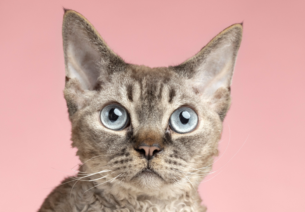 Пенсионная реальность: уравниловка с потолком в России