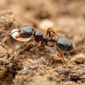 ������� � ������: ��� ��������� ��������� ������� ���� �� ����������