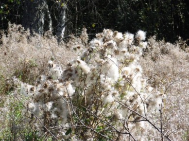 ��� ���������� � ������ �������: ����������� ������ ������ � ��������������� ��������