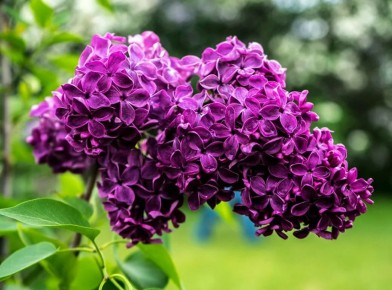 ����� � ����: ������� ������� ������������ �����������