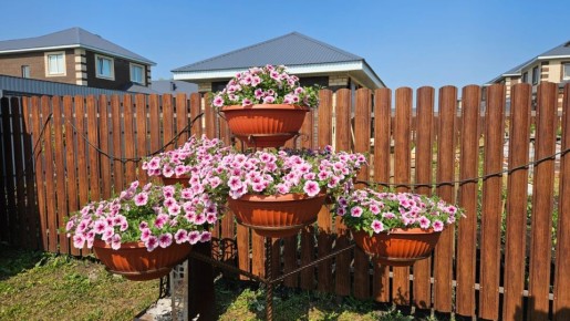 Как стремительно расцветает сад: уже теперь на горизонте цветочный фейерверк