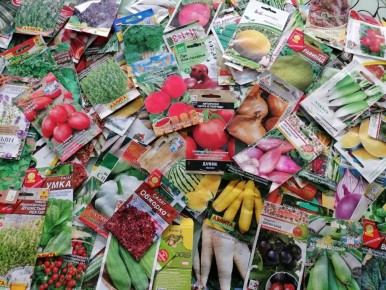 ��� ������� �������� ������: ������ ���������