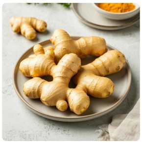 ������: ����������� ������� ��� ����������� � ����������