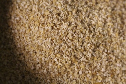 ����������� ��������: ��� ������� ������� ����