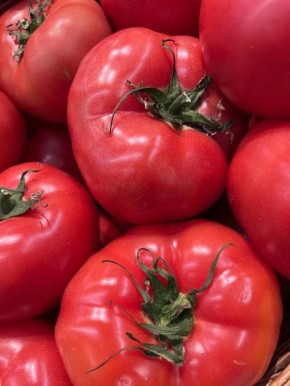 ������ �������: ������� � ������ ������������� � �����������