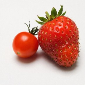 ��� �������� ���������� ������: ������������ �������� � ��������