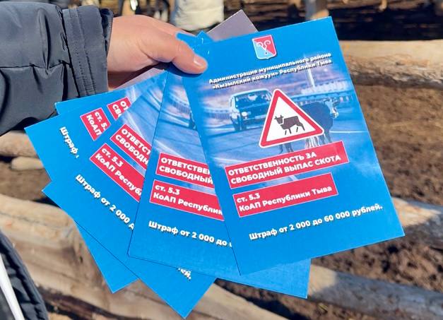 В Кызылском и Улуг-Хемском районах госавтоинспекторы призвали животноводов обозначить скот световозвращающими элементами В Кызылском и Улуг-Хемском районах госавтоинспекторы призвали животноводов обозначить скот световозвращающими элементами