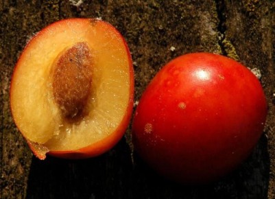 ������ ������� ����� ���������: ������ ���������