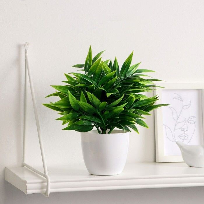 Как создать атмосферу легкости: 7 простых шагов к более уютному дому