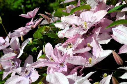 �������� '����� �������': ������������� �������� ��� ������ ����