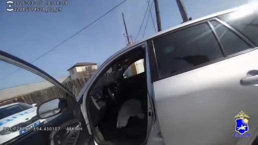 ����������������� ���� ��������� � ��������������� 13 ��������� � ������������� ���������