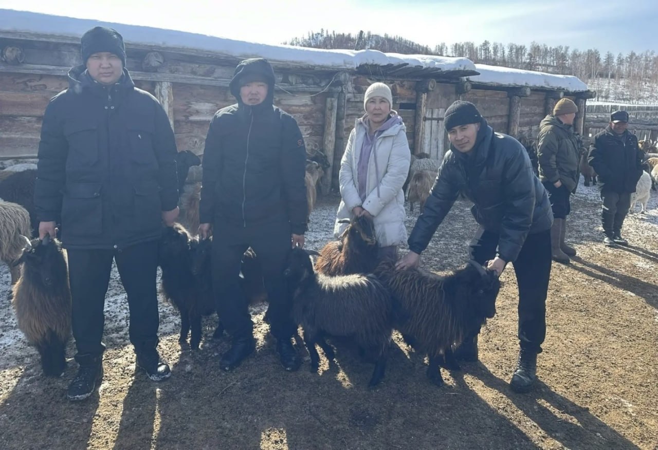 Ученые Тувы изучили генетический потенциал сельскохозяйственных животных Ученые Тувы изучили генетический потенциал сельскохозяйственных животных