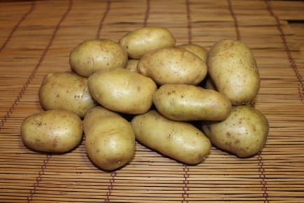 Как картофель Никулинский завоевал сердца огородников и профессионалов