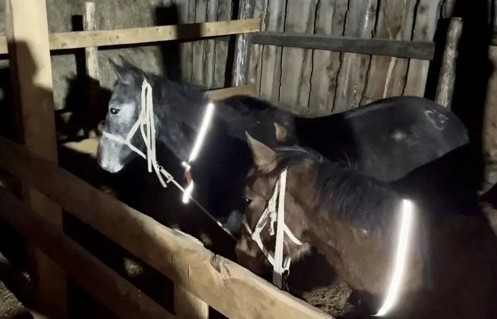 Дорожная ситуация в Туве за 30 марта 2026 года Дорожная ситуация в Туве за 30 марта 2026 года