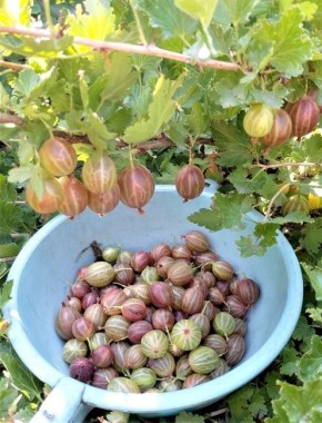 ������ �� ������� ����������: ��� ������������� ������� ������