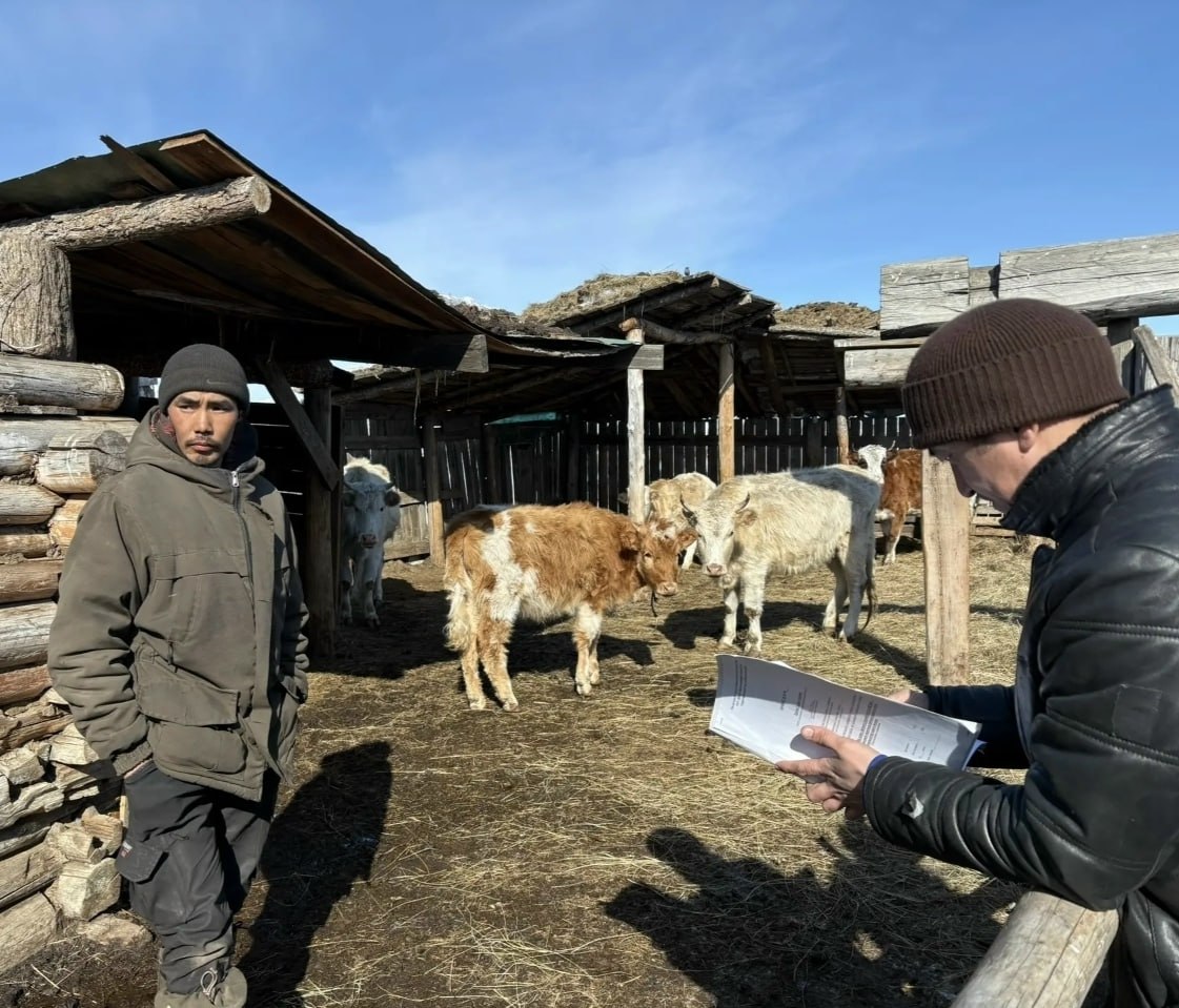 Аржаанны ажыл-биле бот-хандыртынган сайгарлыкчыларын хынаан Аржаанны ажыл-биле бот-хандыртынган сайгарлыкчыларын хынаан