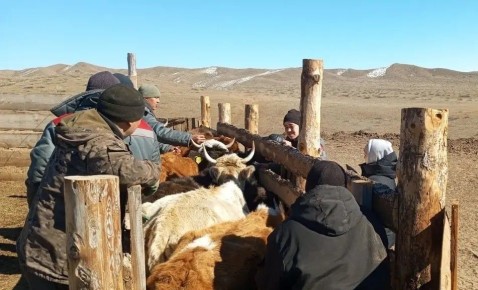 ��-������ �������� ���� ����-���� ���������� ������������� ���� ��������� ������� ����� ���������� ������� ���� ��������