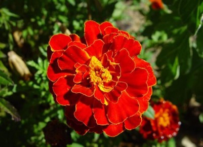 ��� ������������ ������� ��������: ������� ����� �� �����