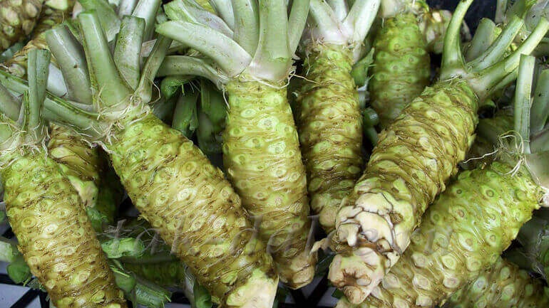 Почему васаби — не просто пряность, а защитник зубов и дыхательной системы