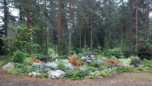 ��� ������� �������� ��� ��� ������ � �������