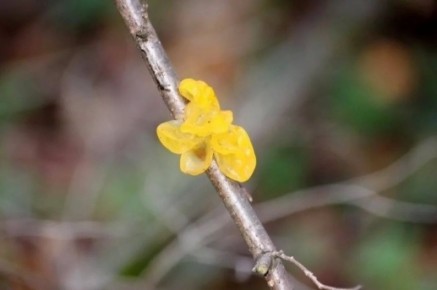 � �������� ������� ������������ ������� �����