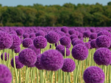 ������: ��� ��������� ������������ ���, ����� �������� ��� ��� � ��������