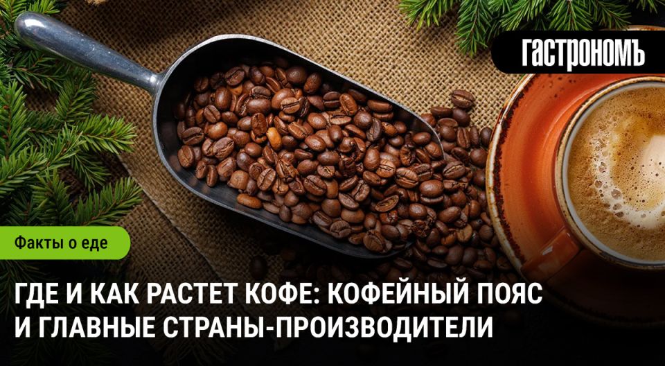 �������� ����: �� ��������� �� ����� �����