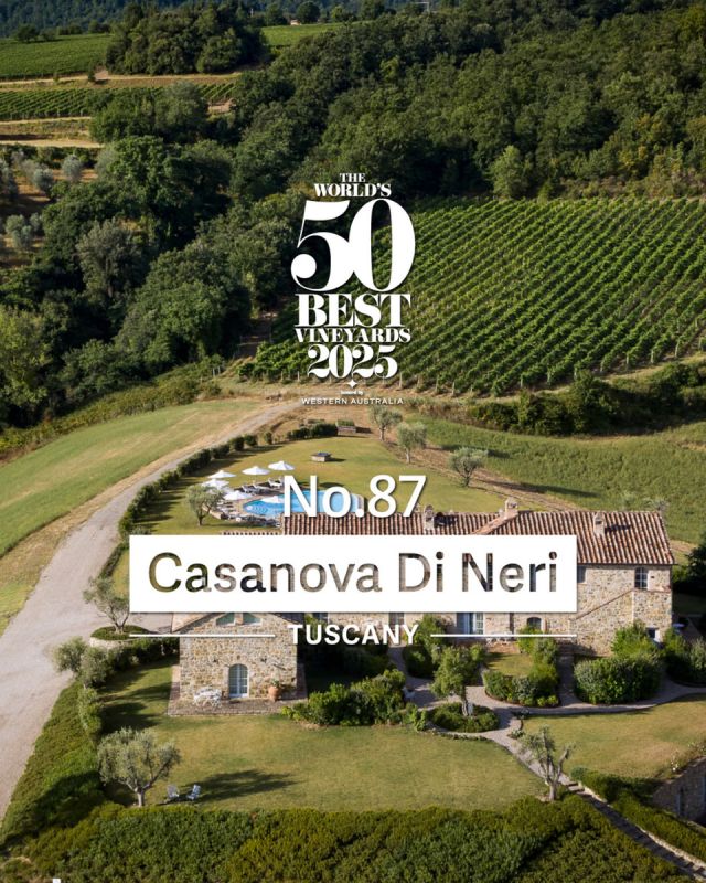 �������� �������������� ��������� Casanova di Neri: ��������� � ������� � ������ ������