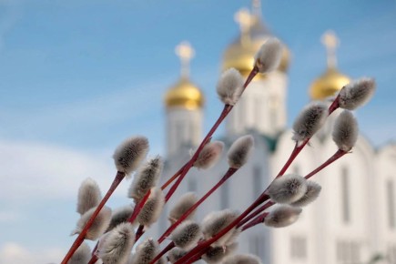 Владислав Ховалыг: Поздравляю земляков с Вербным воскресеньем!