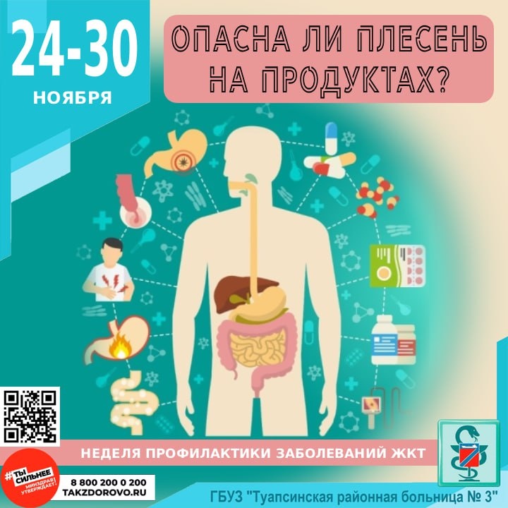 Плесень на продуктах: угрозы для здоровья, о которых стоит знать
