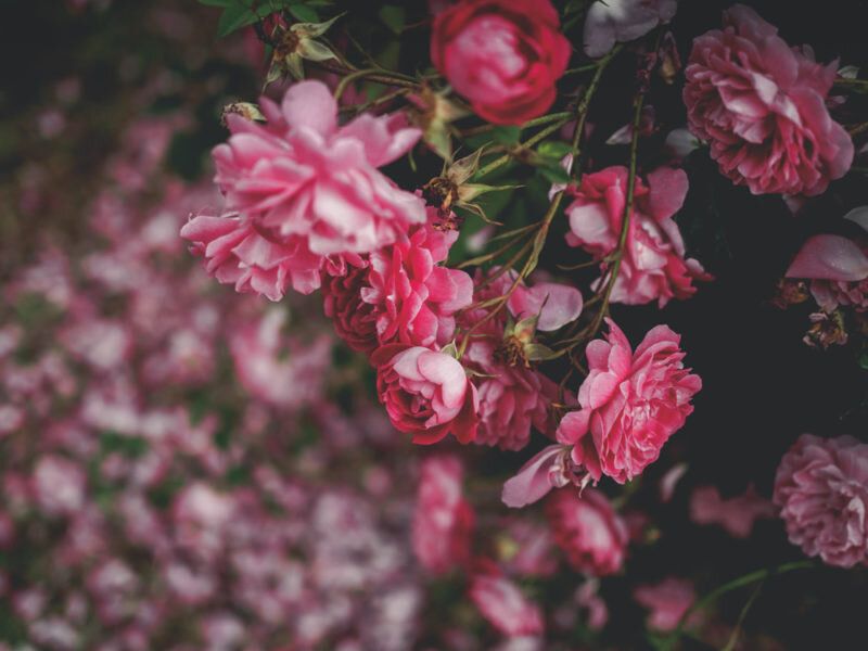 ��� ����������� ���� � ����: �������� ���� ��� �������� �������
