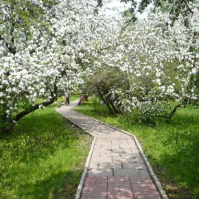 ����� ���� ��� �������� ������� ������� � �������� � ��������