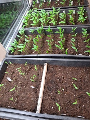 ������ ����� ��������� ������ �� ��������� � �� ������� �����������