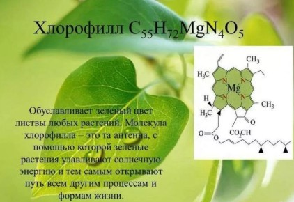 ����� ���� ������� ������������� � �������� ��������?