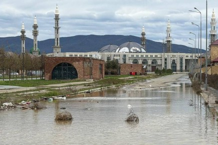 ��������� �������: � �������� ������ �� ��������� � �������������� ���������� � ���������