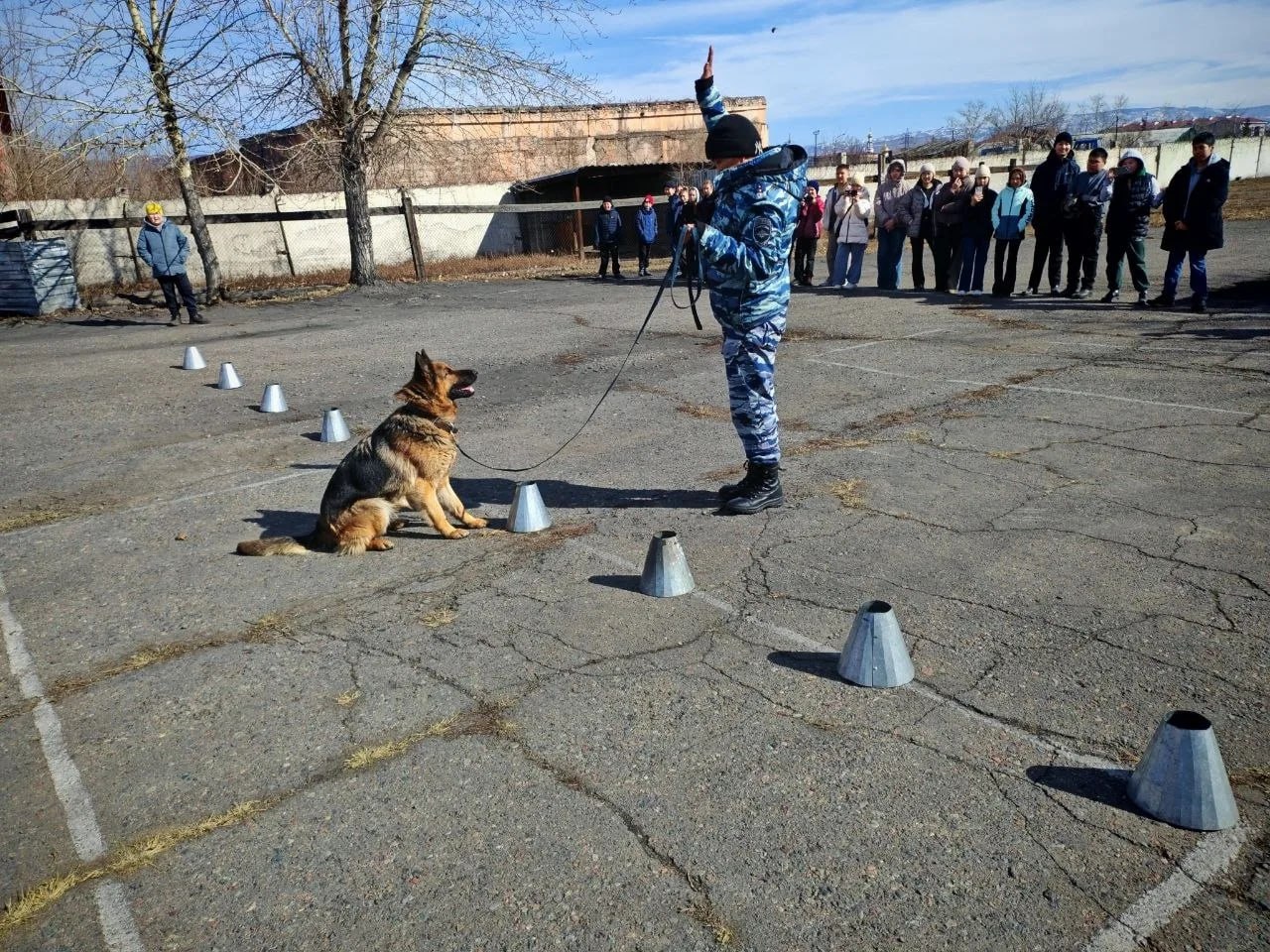 Школьники Тувы познакомились с работой кинологов и служебных собак МВД Школьники Тувы познакомились с работой кинологов и служебных собак МВД