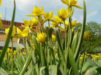 ��������: ��������� ����� � ���������� ��������