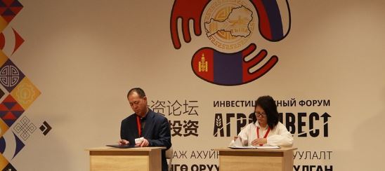 Апрель 9-10 хннеринде Кызылга «Тыва: Агроинвест-2026» инвестиция шуулганы болуп эртер