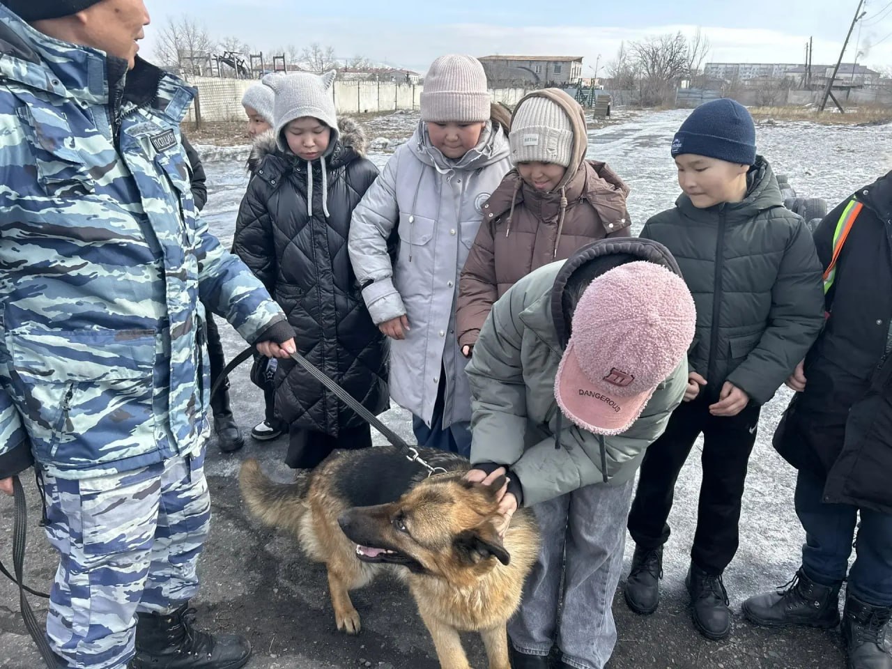 Школьники Тувы познакомились с работой кинологов и служебных собак МВД Школьники Тувы познакомились с работой кинологов и служебных собак МВД