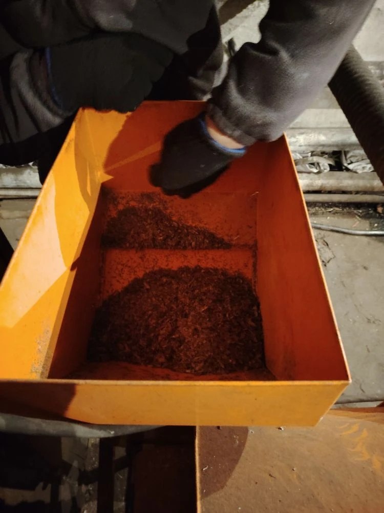 В Балгазынском лесничестве идет активная заготовка лесосеменного сырья В Балгазынском лесничестве идет активная заготовка лесосеменного сырья