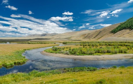 ��������, ��������� ��������� �� ���� �� ���������� � ������ ������������� ���� ��-��� � ����, ������ ��� �������� �������� ���������� ��������