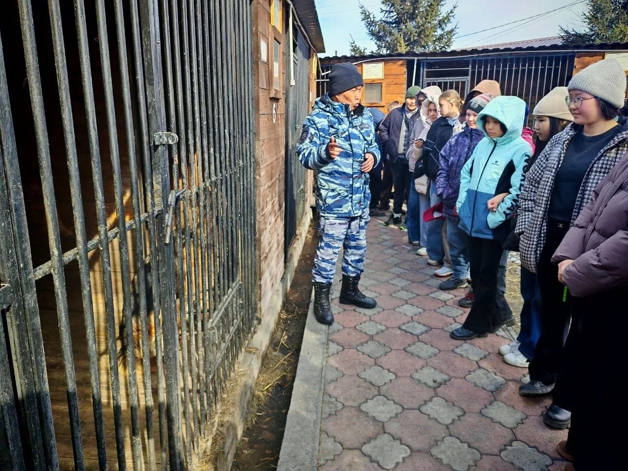 Школьники Тувы познакомились с работой кинологов и служебных собак МВД Школьники Тувы познакомились с работой кинологов и служебных собак МВД