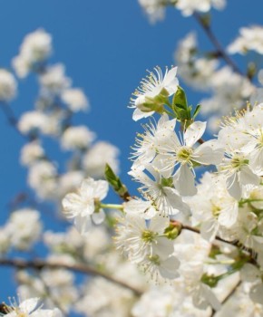 ������� ��������� 2026: ��� ���� ������� �� ��������